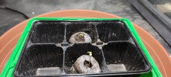 IMG_20220512_103558