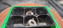 IMG_20220512_103601