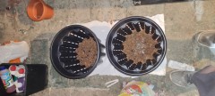IMG_20220515_102511[1]