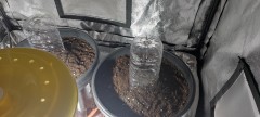 IMG_20220515_104755[1]