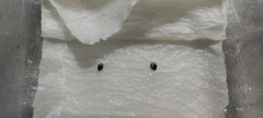 IMG_20220515_104320
