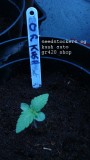 autos drobes 15 05 22 002