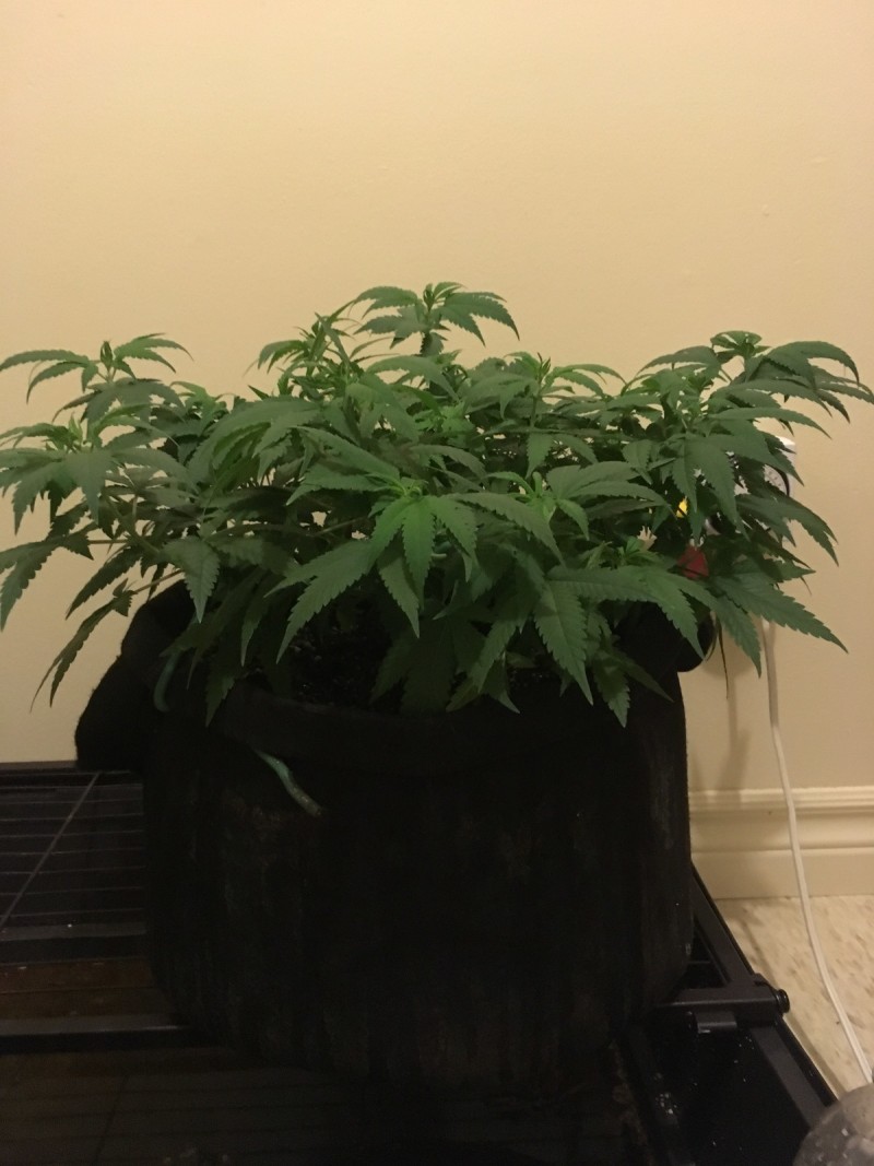 feb3 011