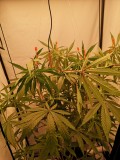 IMG_20220521_081557