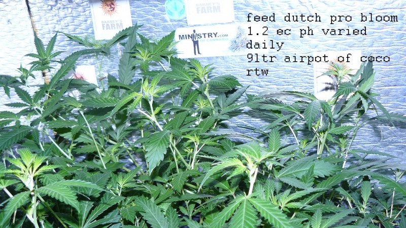 drobes autos etc 21 05 22 044