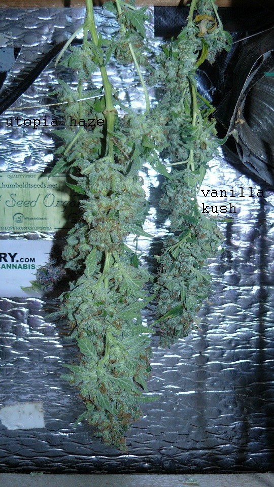 drobes autos etc 21 05 22 052