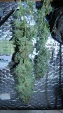 drobes autos etc 21 05 22 052