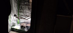 IMG_20220524_122934