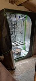 IMG_20220524_122952