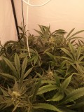 IMG_20220524_191718