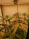 IMG_20220525_065059