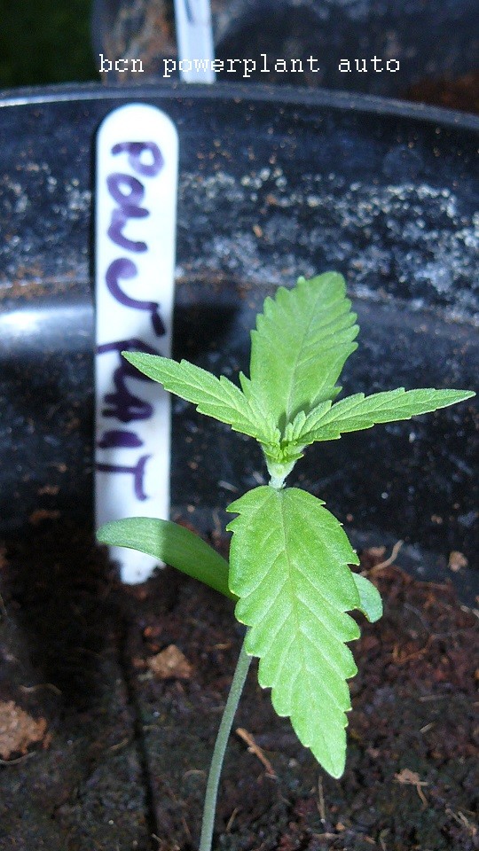 drobes 26 05 22 042