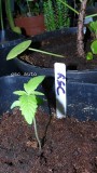 drobes 26 05 22 047
