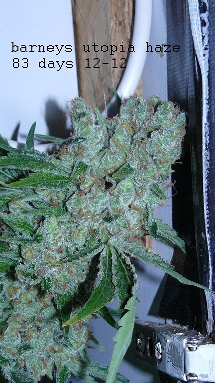 drobes 26 05 22 001
