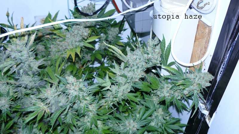 drobes 26 05 22 020
