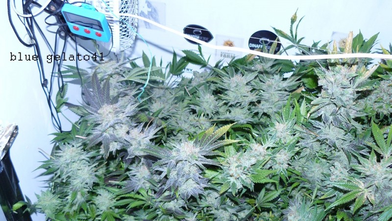 drobes 26 05 22 021