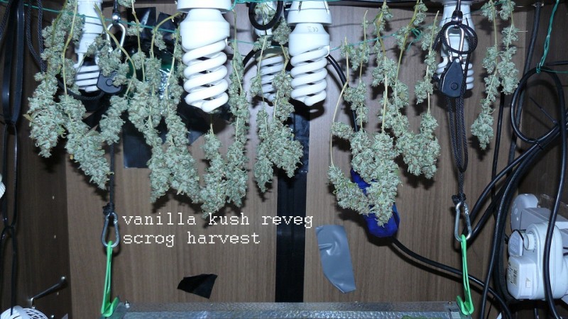 drobes 26 05 22 024
