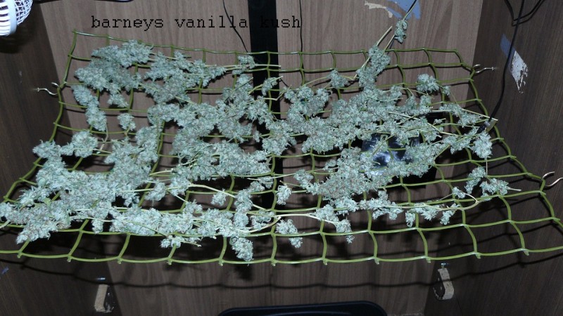 drobes 26 05 22 025