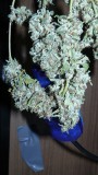 drobes 26 05 22 030