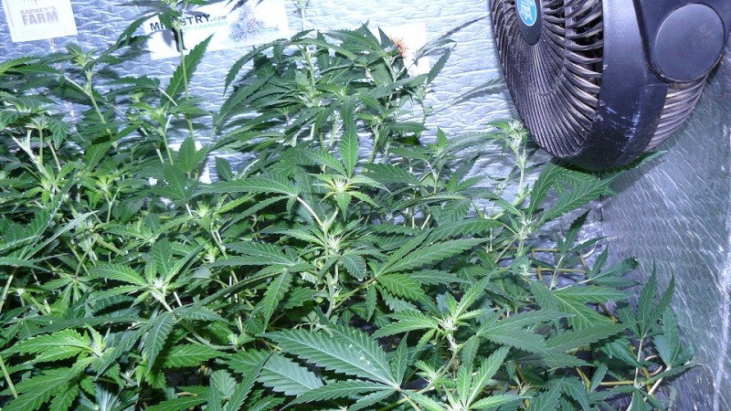 drobes 26 05 22 033