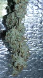 drobes 26 05 22 040
