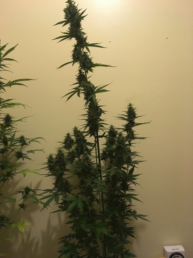 feb 10 049