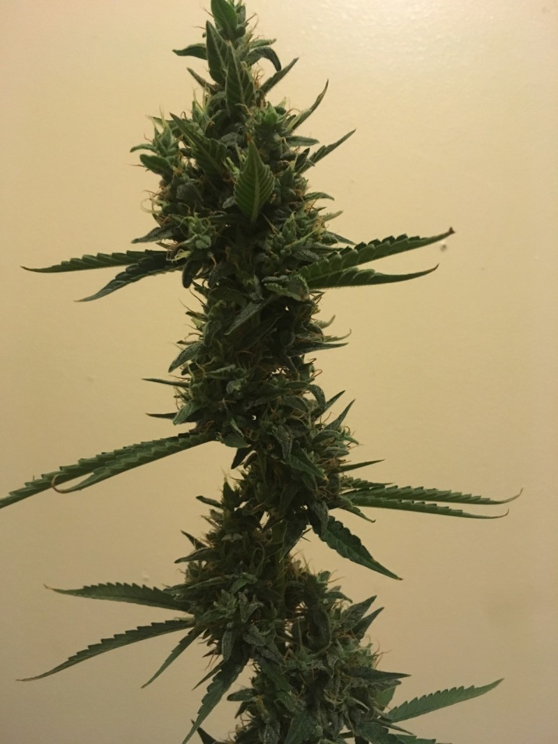 feb 10 050
