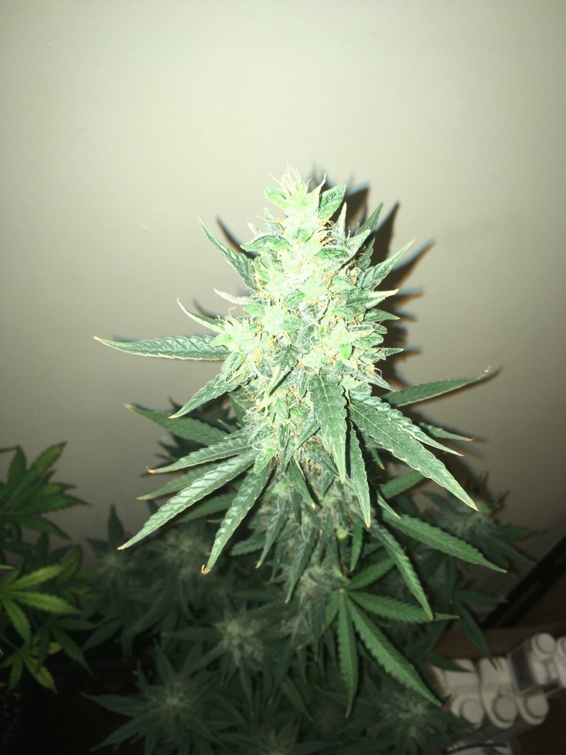 feb 10 057