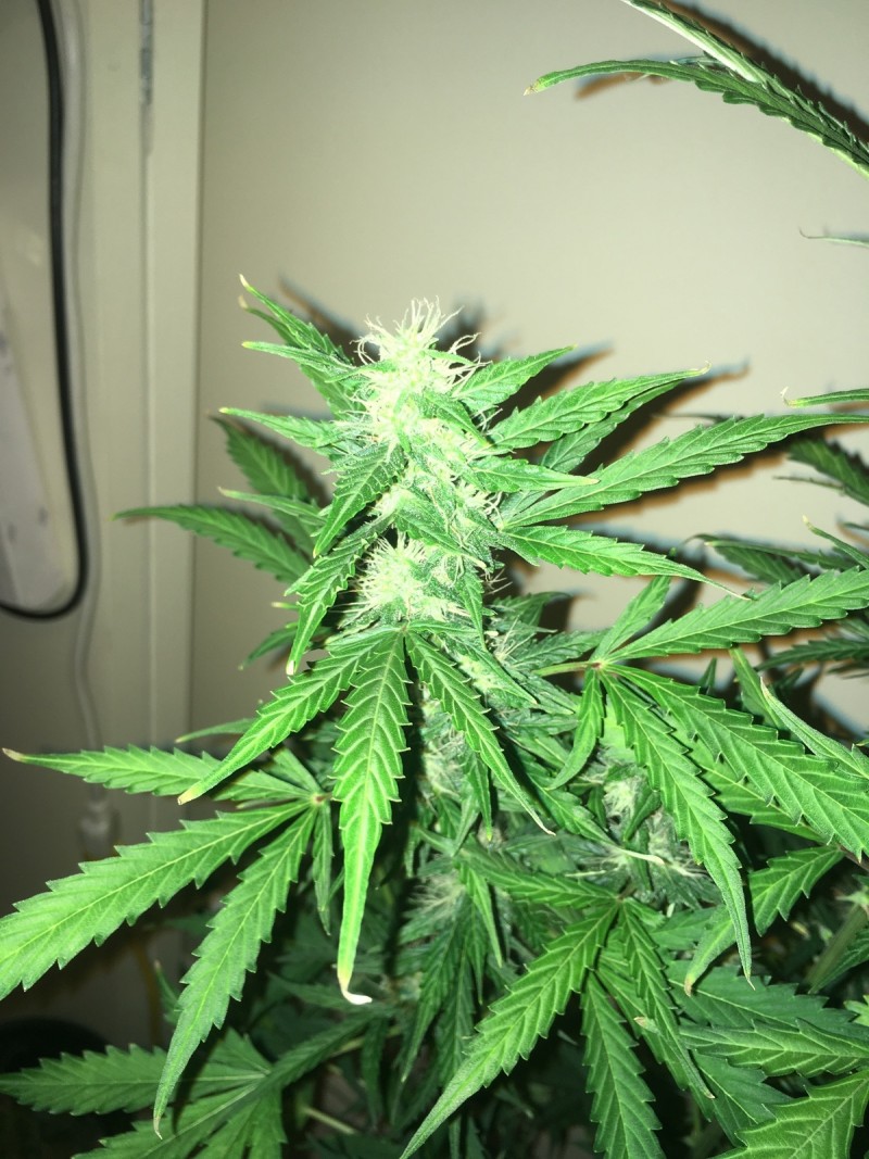 feb 10 061