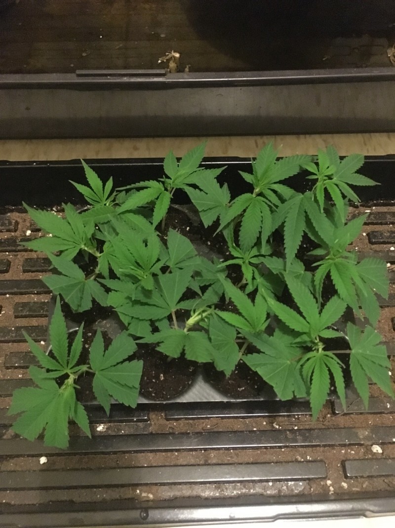feb 10 063
