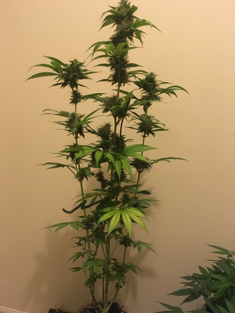feb 10 033
