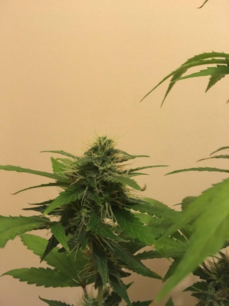 feb 10 036