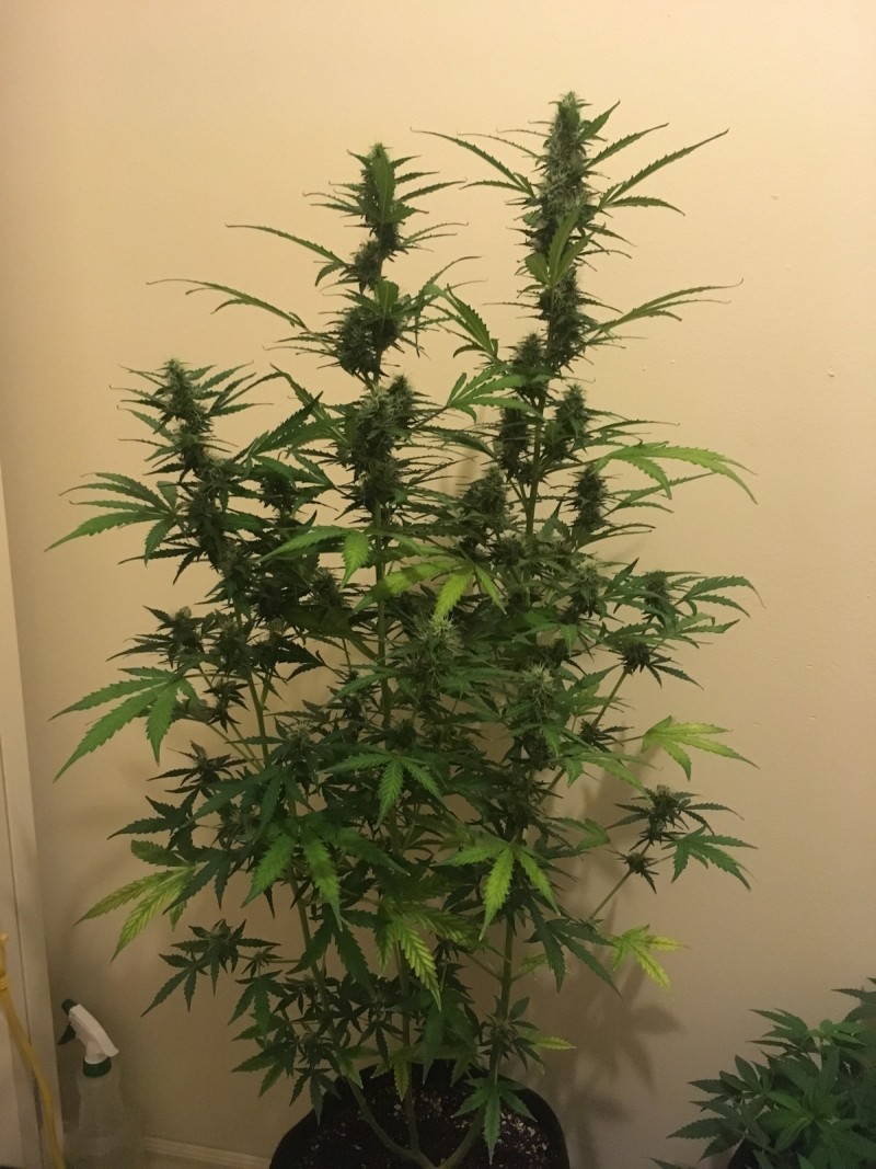 feb 10 038