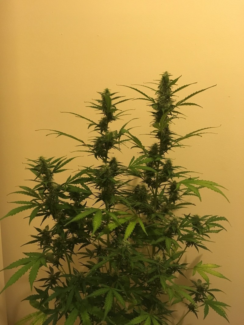 feb 10 040
