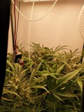 IMG_20220531_055117