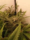IMG_20220531_055129