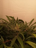 IMG_20220531_055135