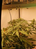 IMG_20220531_055042