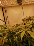 IMG_20220531_054928
