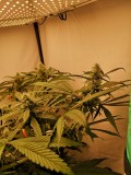 IMG_20220531_054922