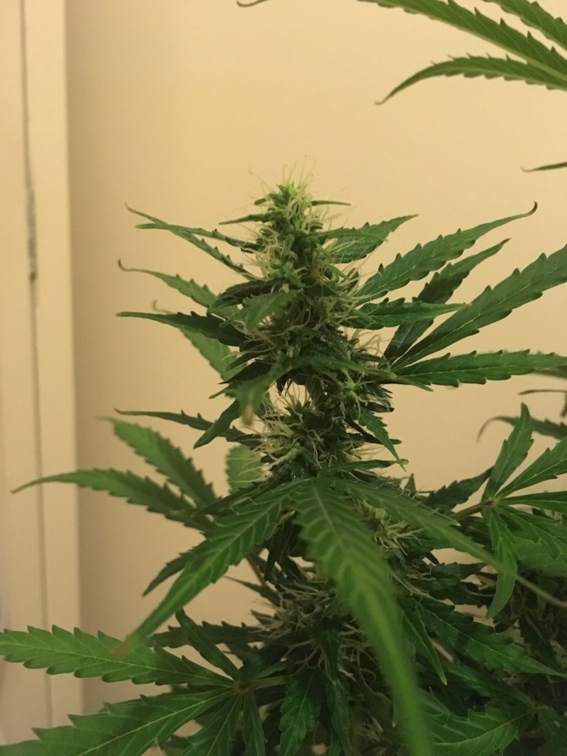 feb 10 044