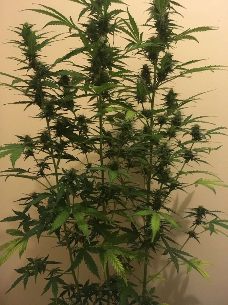 feb 10 048