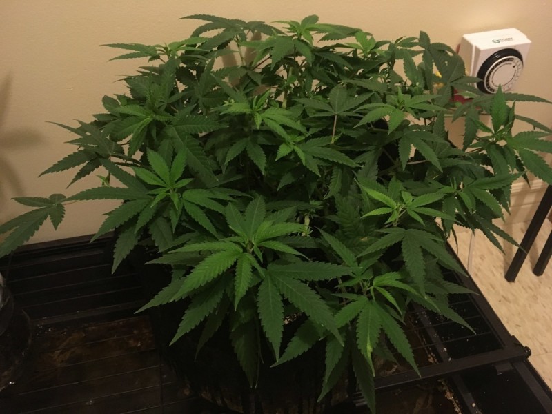 feb 10 030