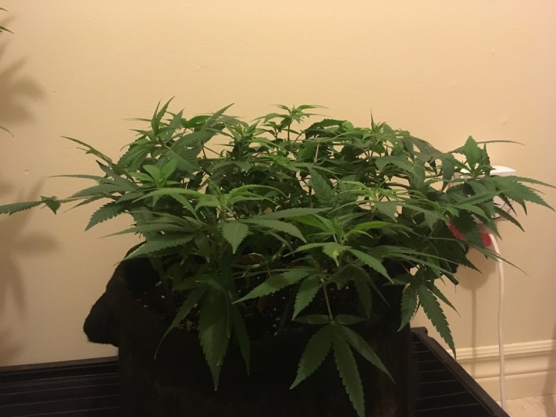 feb 10 032