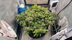 Day 70 (2)