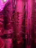 PXL_20220601_003042320