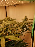 IMG_20220605_132812