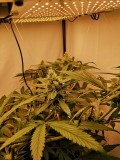 IMG_20220605_132816