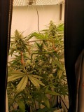 IMG_20220605_132849