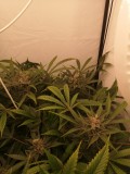 IMG_20220605_194002